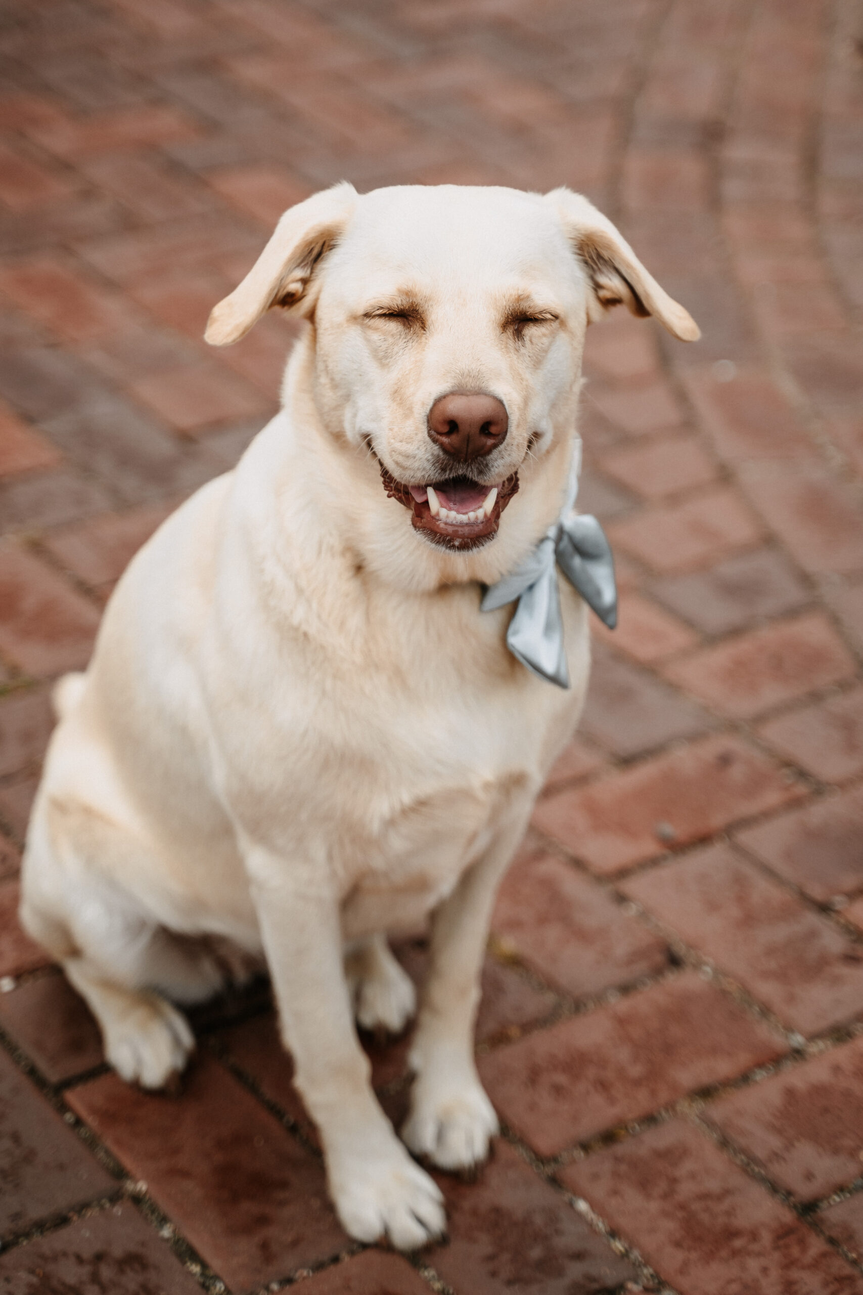 Fotografie Lina-Marie Schnemilich -221