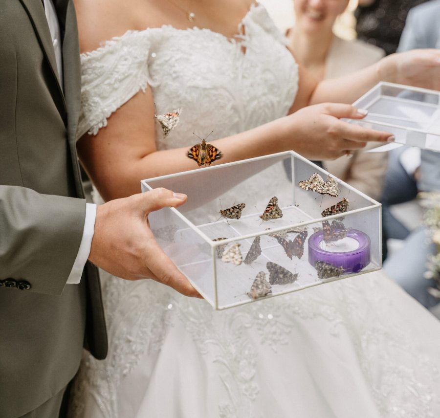 Belle Lumière Hochzeitsplanung